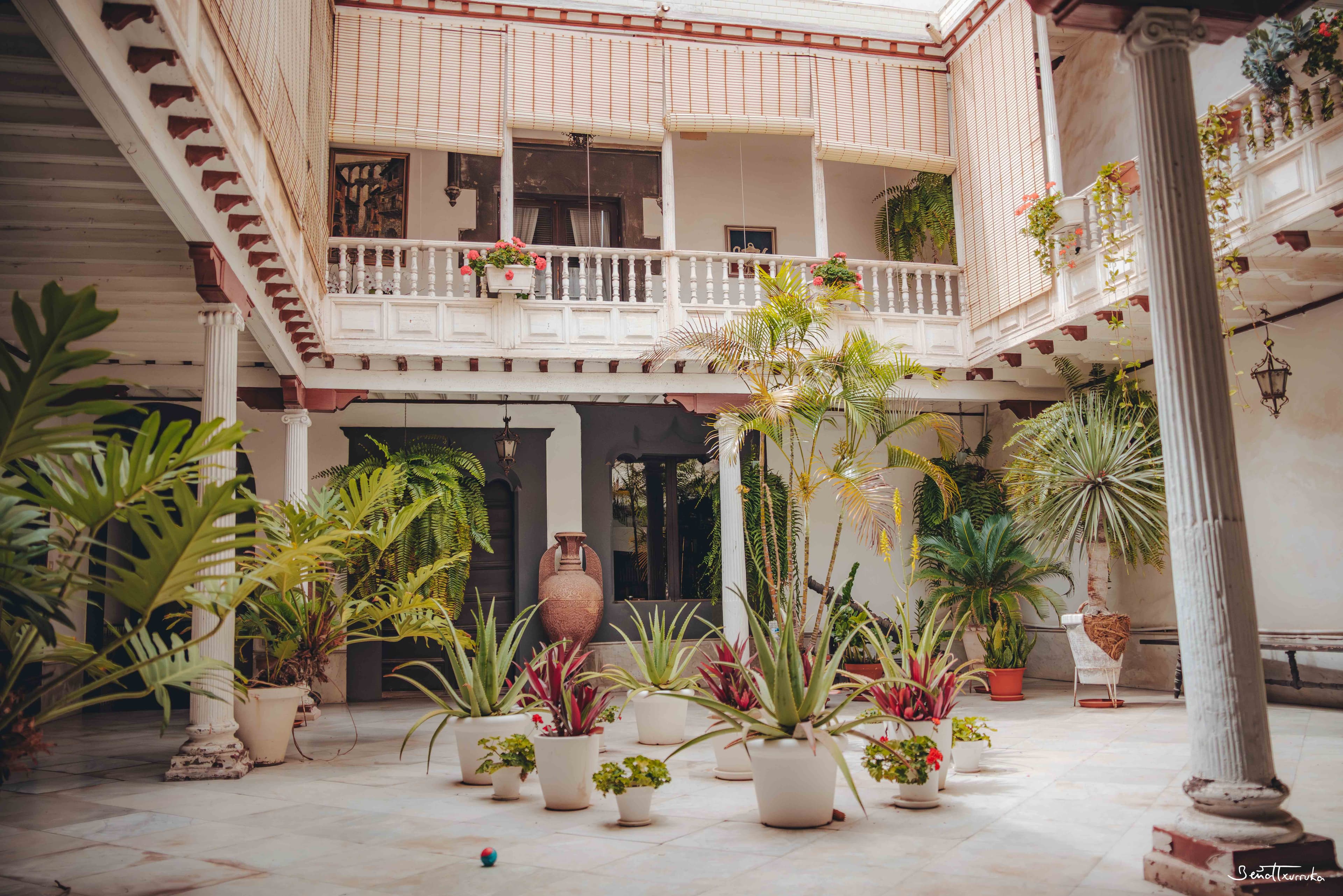 Patio canario