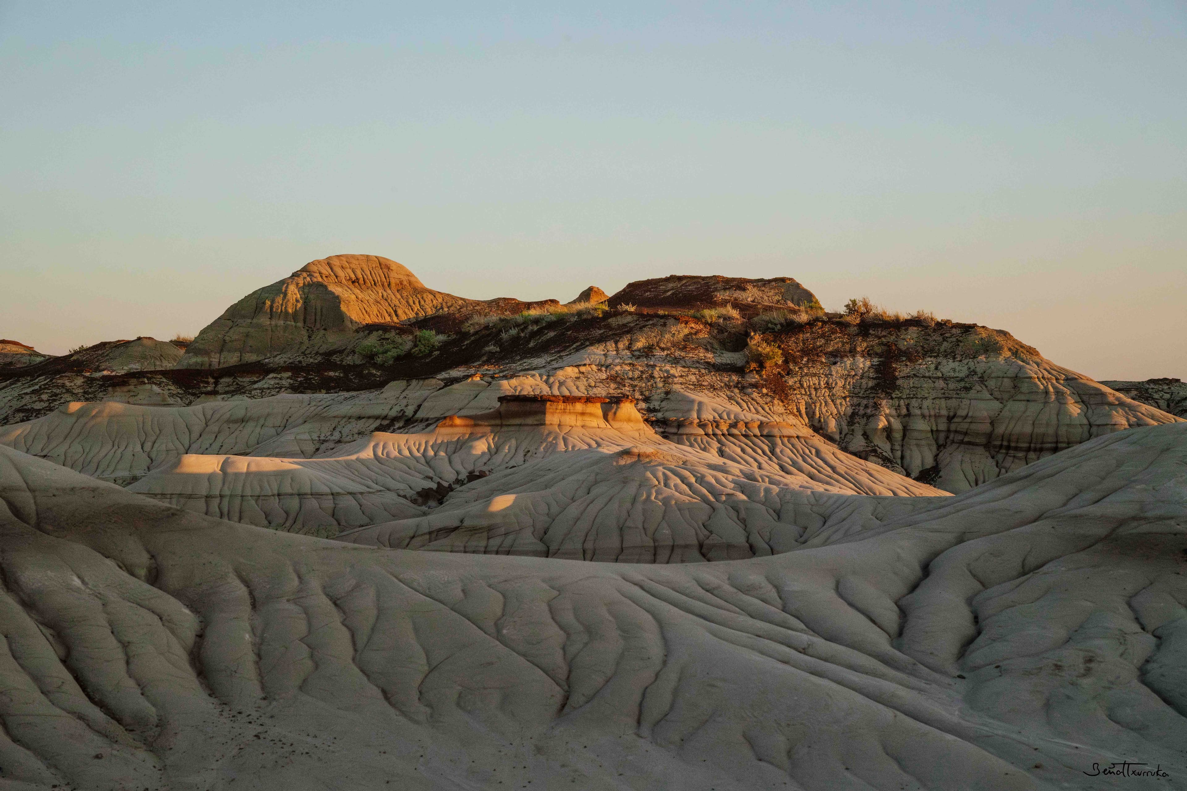 Dinosaurs Provincial Park
