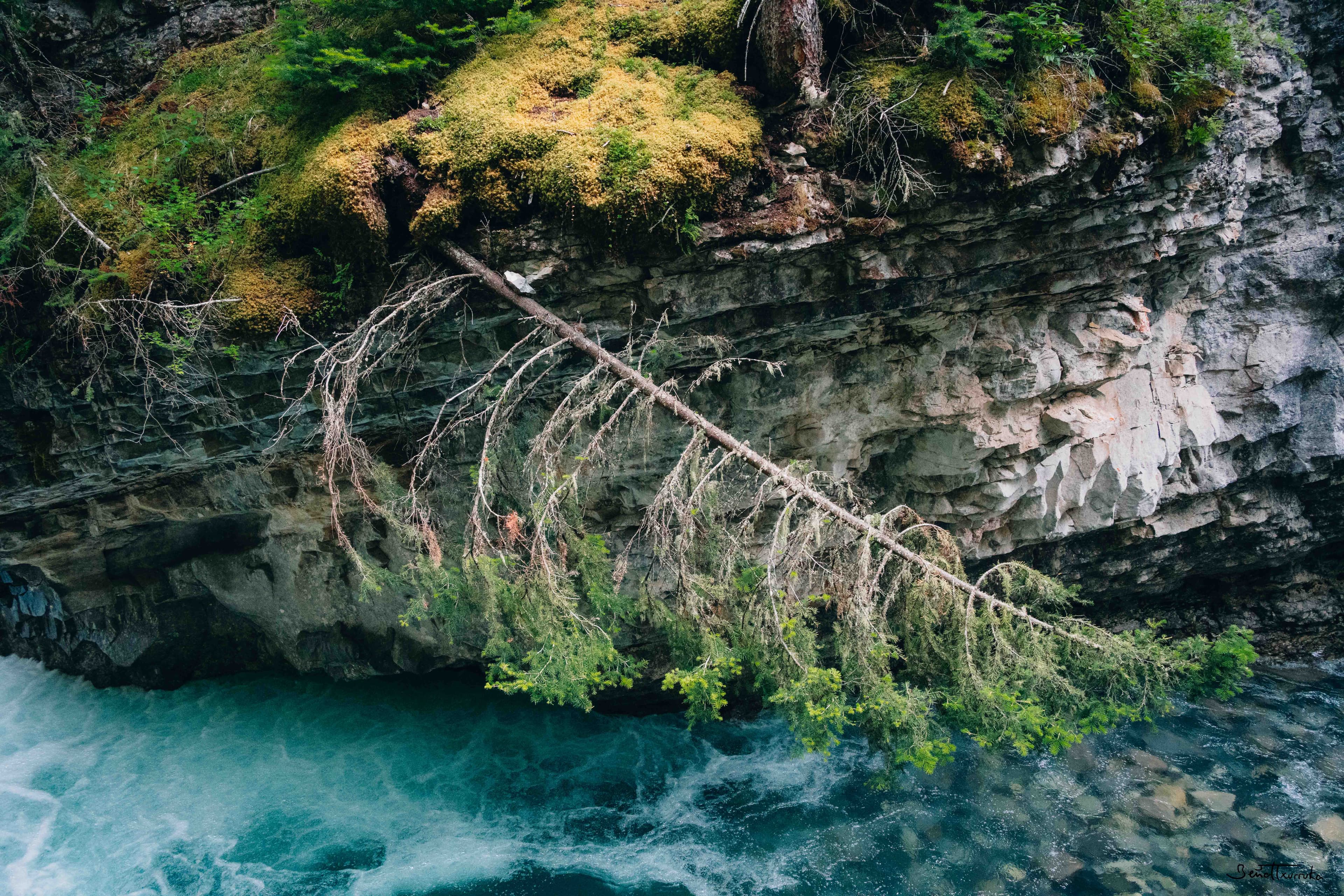 Johnston canyon